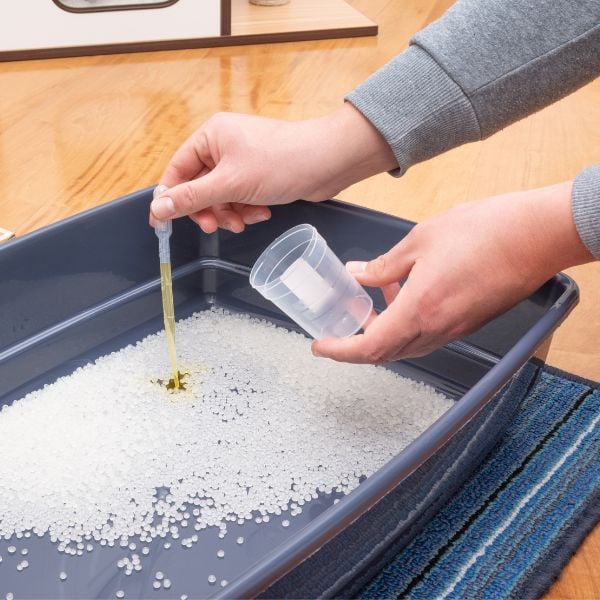 How to Collect a Cat's Urine Sample Preventive Vet